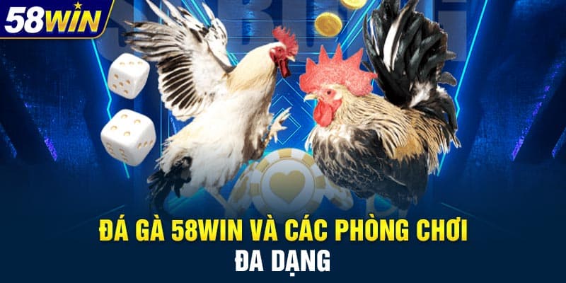 Đá gà 58WIN như nào?