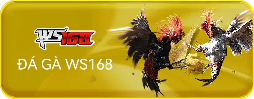 đá gà 58win